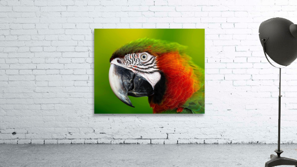 7F95D3C0 81A8 4645 9E33 E8E0E041A368 Wall Preview