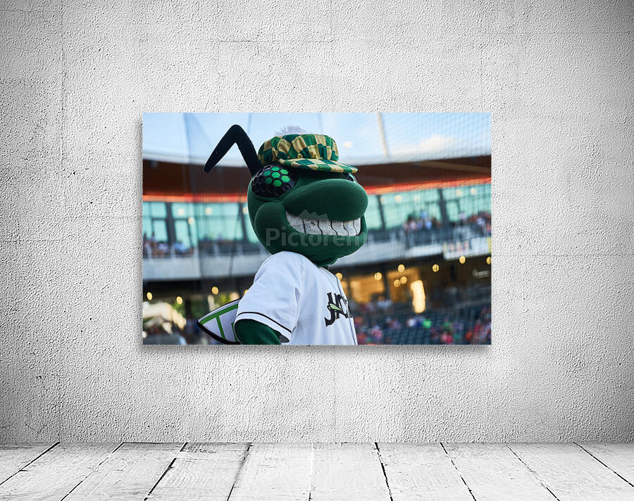 Auggie Mascot for the Augusta GreenJackets   Nort 1675611046.3064 Wall Preview