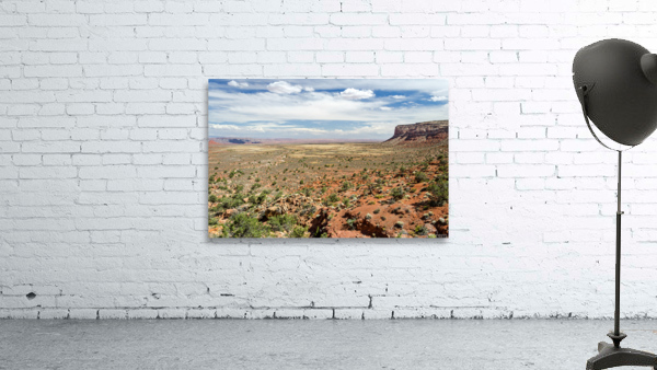Desert Landscape by caladoart