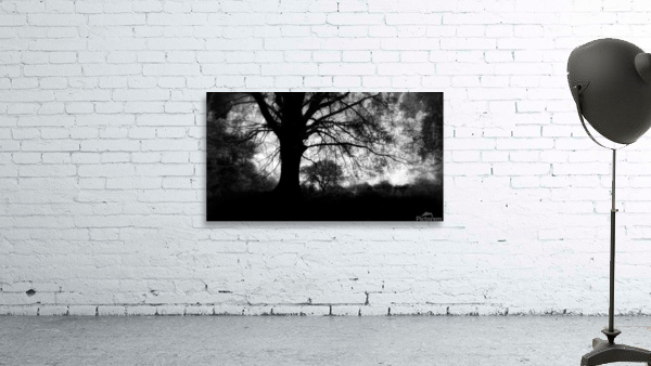 Oak Tree  B&W Wall Preview