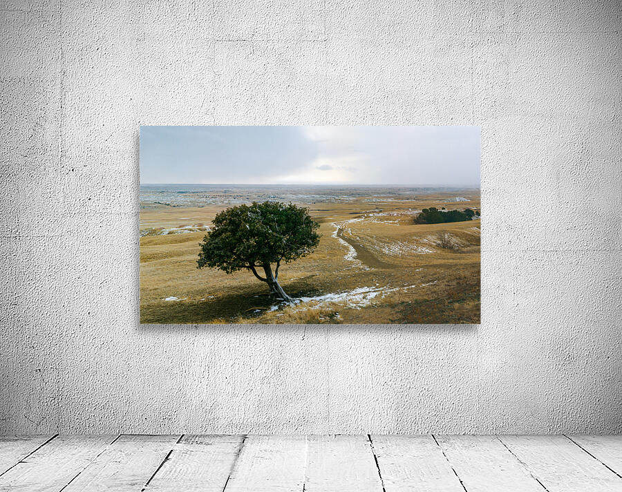 Entering The Badlands Wall Preview