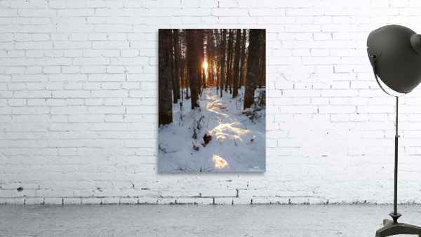 Lumiere de la foret Wall Preview