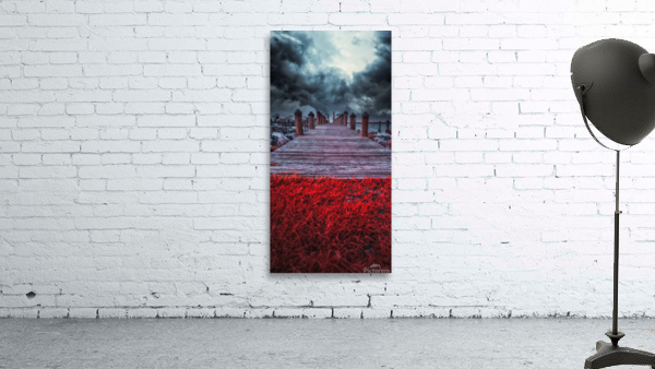 Storms Dance: A Memorable Infrared Moment on Brooms Island Maryland by Dream World Images