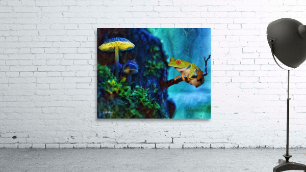 Red Eyed Tree Frog by Susanne McMillan Art