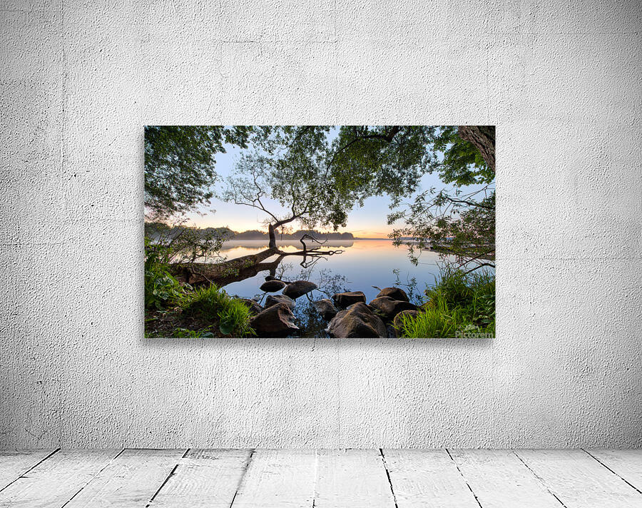 Lake view Wall Preview