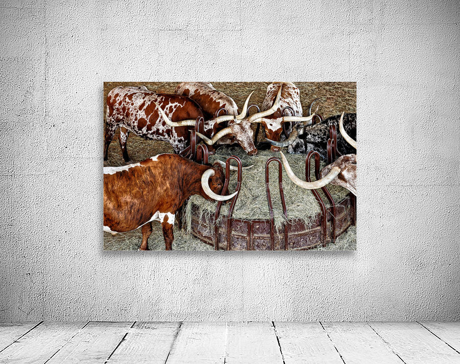 Longhorns Wall Preview