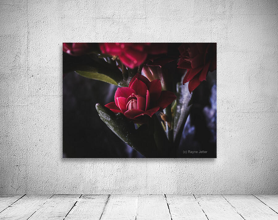 Without the Vase by LunarRise Photography