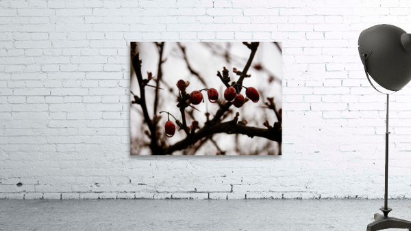 Scarlet Against the Sky Wall Preview