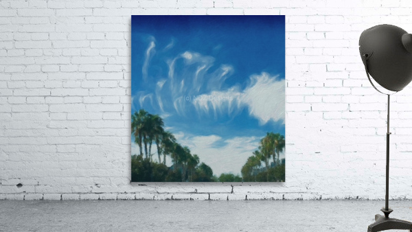 whimsical clouds2 Wall Preview