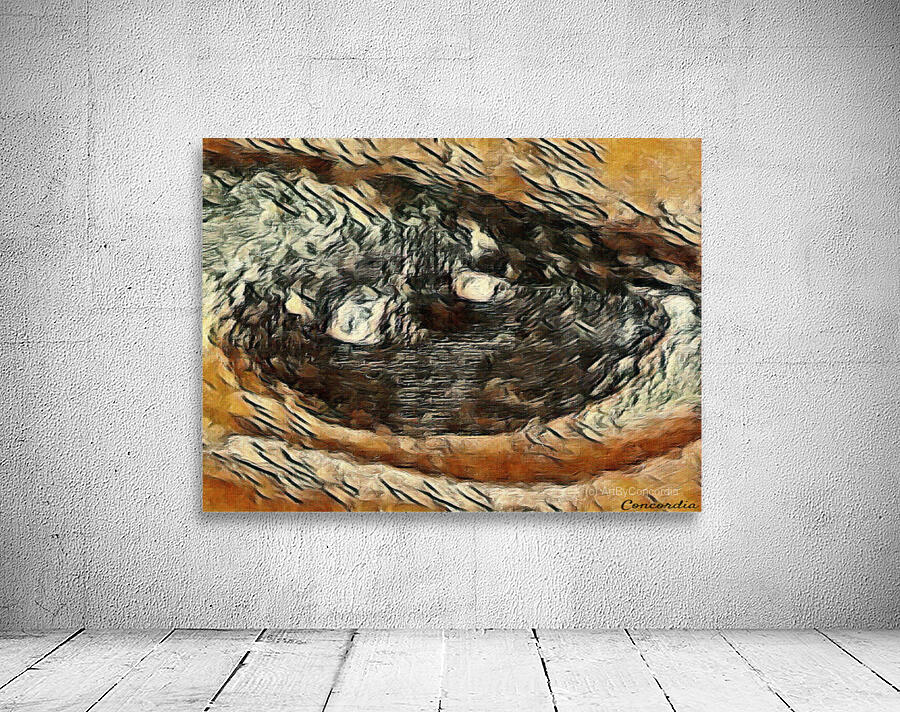 The Eye 2 Wall Preview