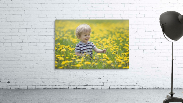 18-Month-Old Boy In Dandelion Field; Thunder Bay, Ontario, Canada Wall Preview