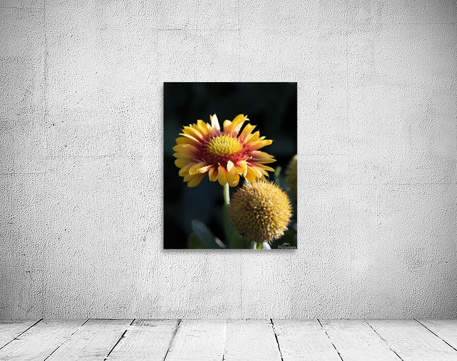 Fleurs decorative Wall Preview