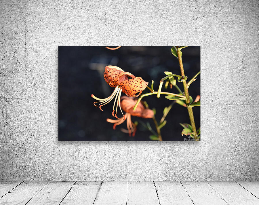 Fleur dete decorative Wall Preview