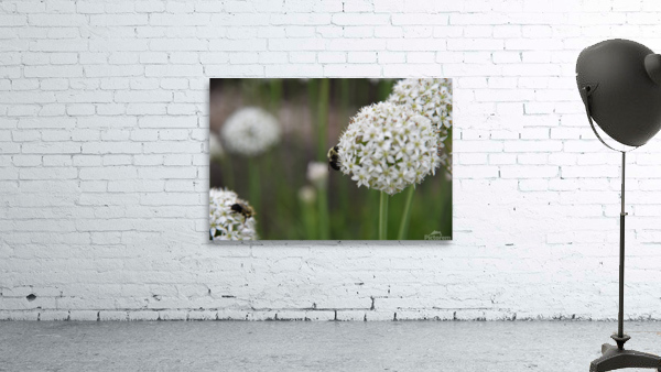 outside 00052 8 Wall Preview