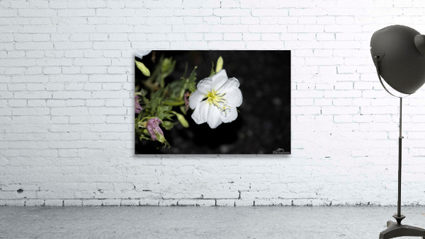 Projet qqq20190905 0174 Wall Preview