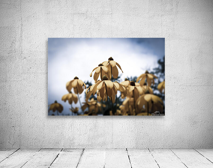 Champs de tournesol Wall Preview