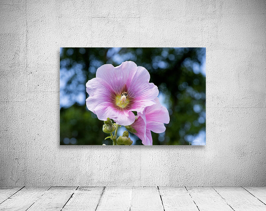 Fleur butiner ete Wall Preview