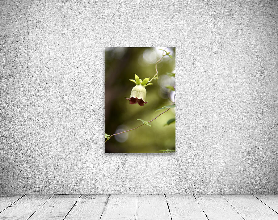 Elegance veneneuse : Lintensite dune belladone en macro avec un fond bokeh Wall Preview