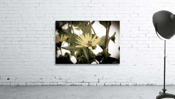 Nature reinventee : Decouvrez le tournesol en macro desature  Wall Preview