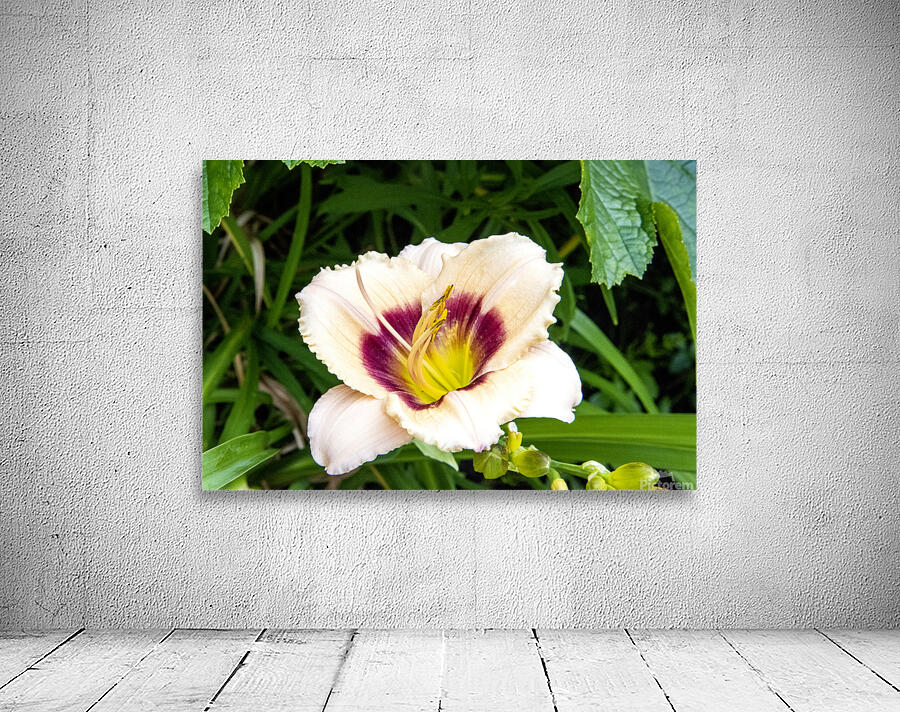 Elegance florale : Lys blanc captivant entoure de feuillus verdoyants by Melissa Lefebvre