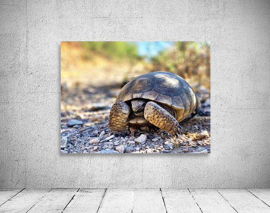Tortoise 1 Wall Preview