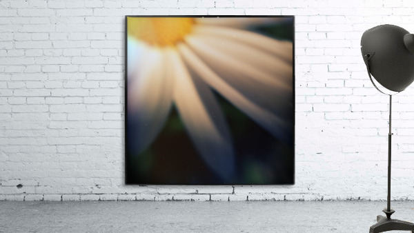 Petal devotion Wall Preview