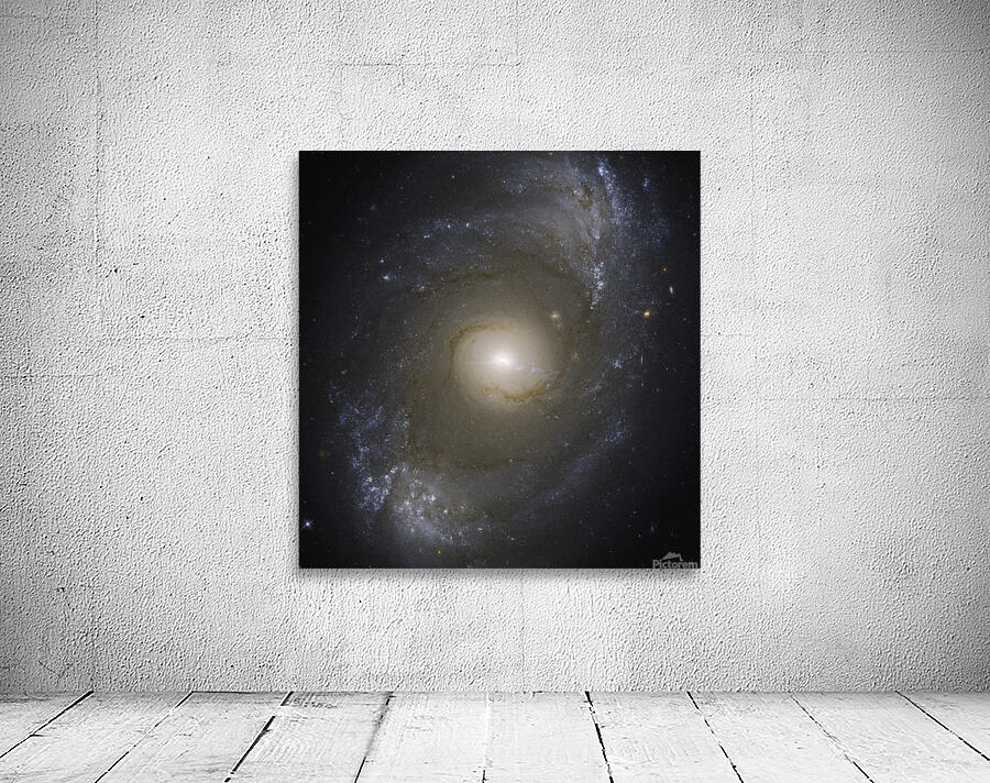NGC 4151 by NASA Images