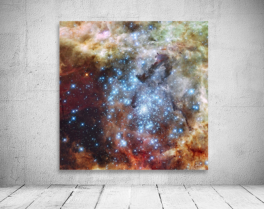 Massive Star Forming Region in 30 Doradus by NASA Images