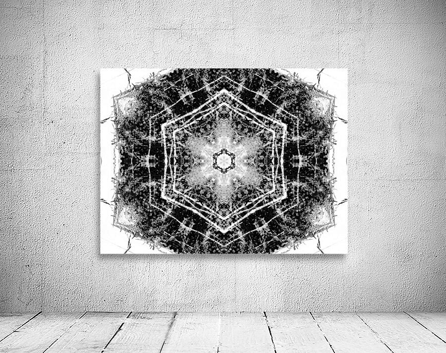 Abstract Black and White Long Grass  Wall Preview