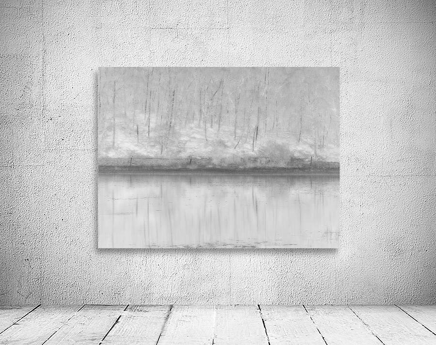  Birch Forest Reflections in High Glossy Monochrome Wall Preview