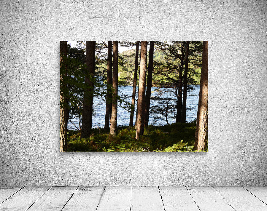  Lochside View  Wall Preview