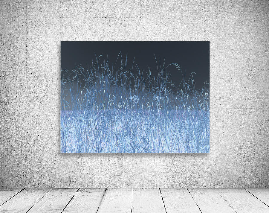  Autumnal Inverted Long Grass in the Mist Wall Preview
