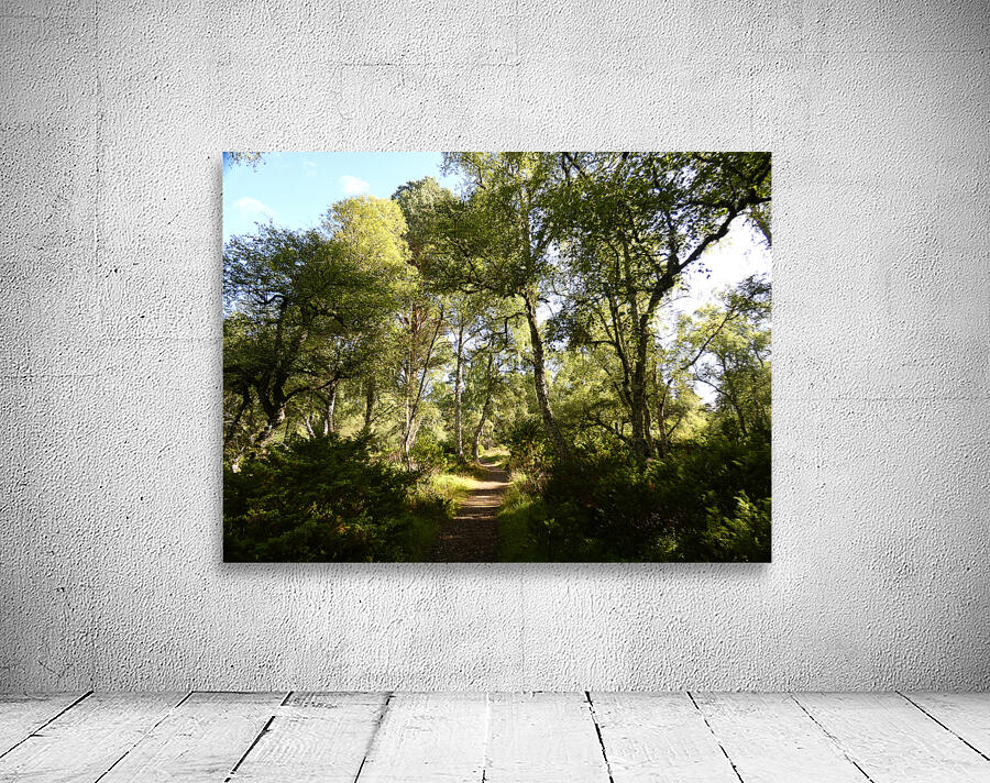  Leaving the Shadow Land in the Scottish Highlands Wall Preview