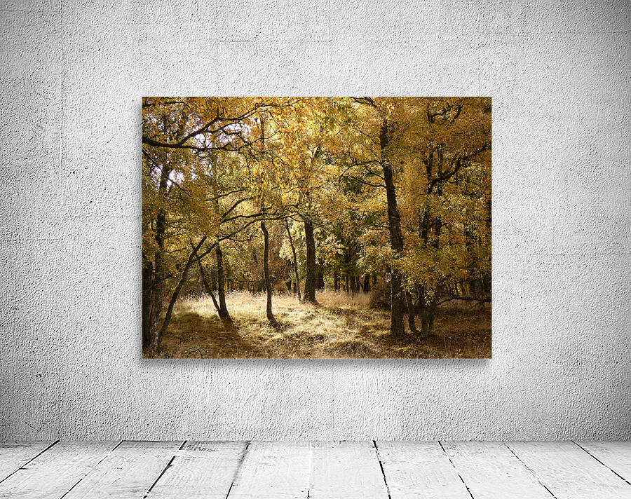 The Joy of Autumn in the Scottish Highlands Wall Preview