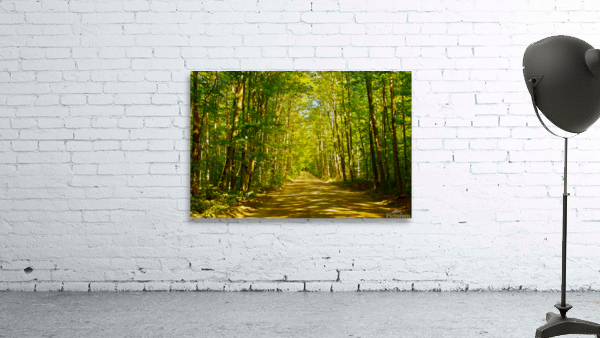 Peaceful Bancroft Side Road Wall Preview