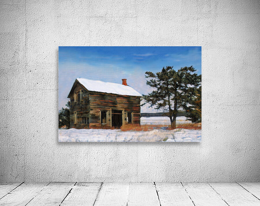 What a Pioneer Built - Now Abandoned Wall Preview