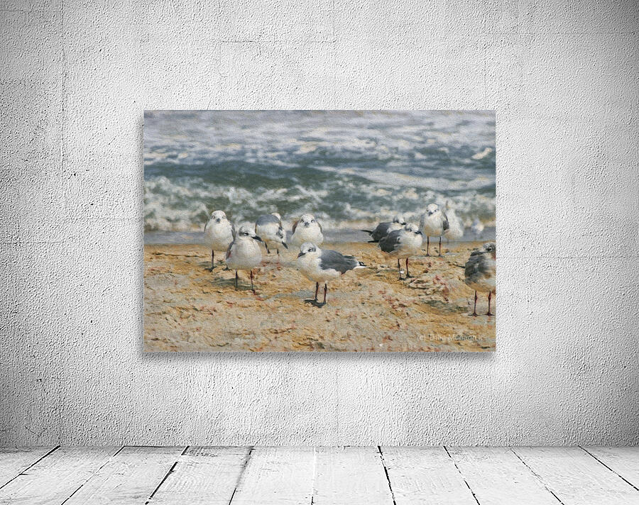 Seagull Dating Scene Wall Preview