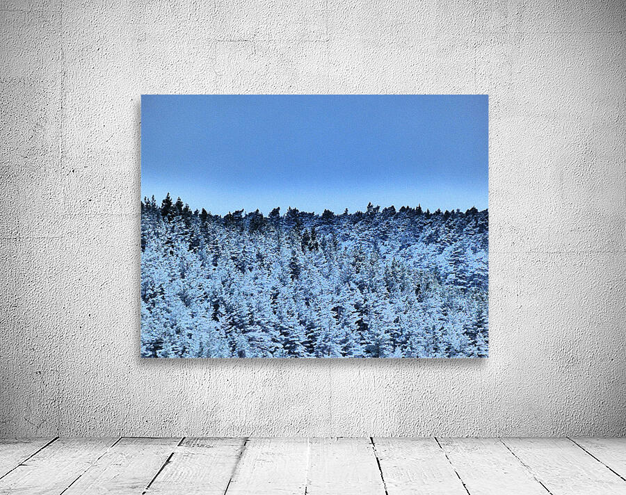 Mad March Pine Forest Snow Wall Preview