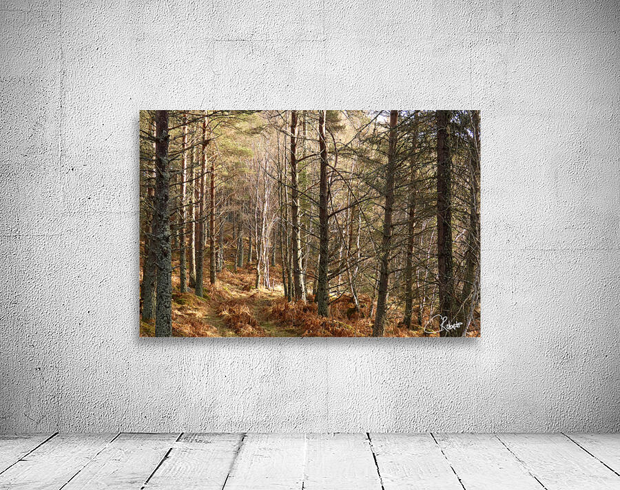  Winters Golden Nature Trail Wall Preview