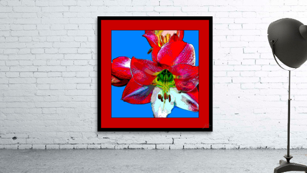 AMARYLLIS 002 Wall Preview