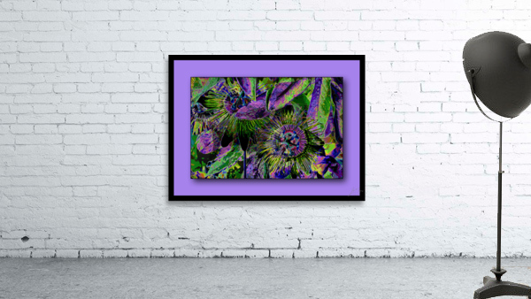 PASSION FLOWERS 002 Wall Preview