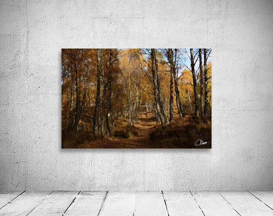 Autumns Ramble in the Scottish Highlands Wall Preview