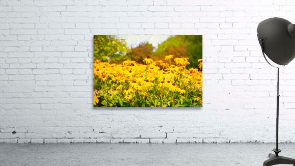 Cheerful Curb Appeal Wall Preview