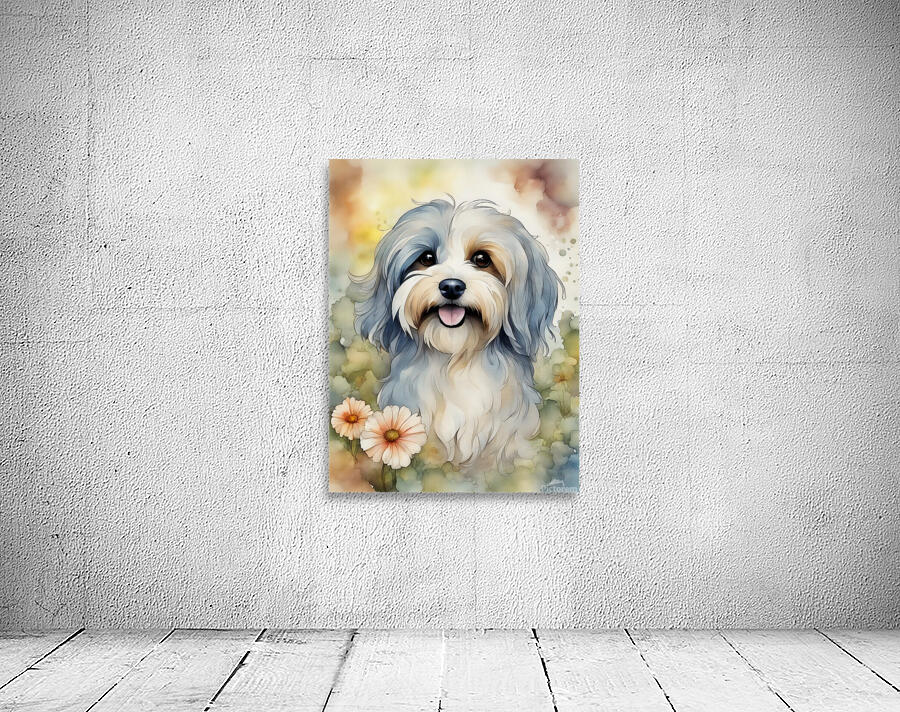 Cute Havanese Dog 3 Wall Preview