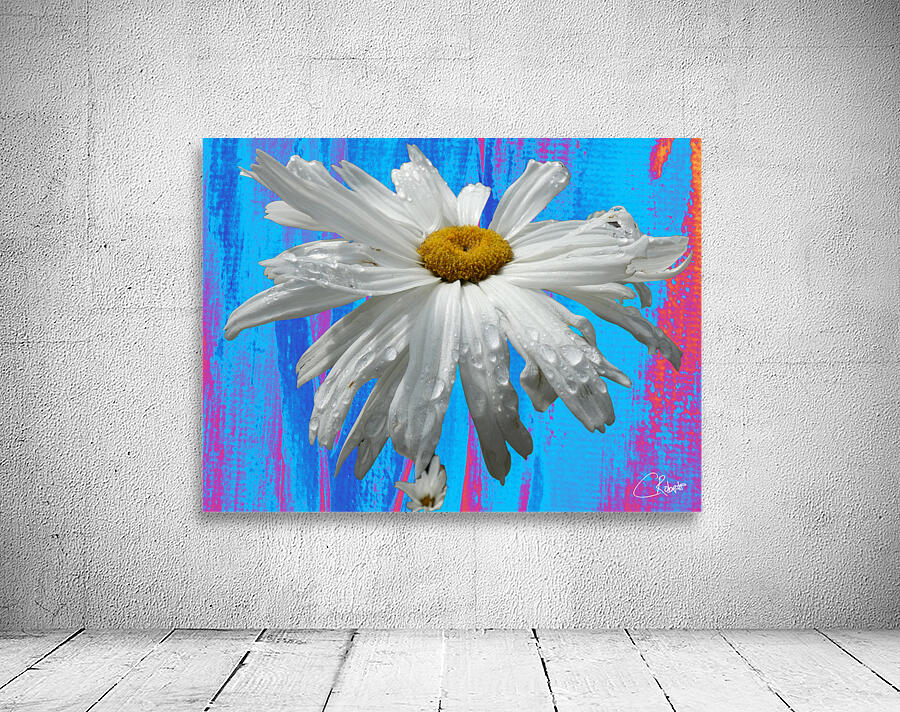  White Daises on Abstract Coloured Heatwave Background Wall Preview