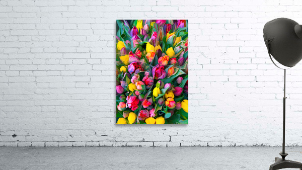 Not One Colour Missing Wall Preview