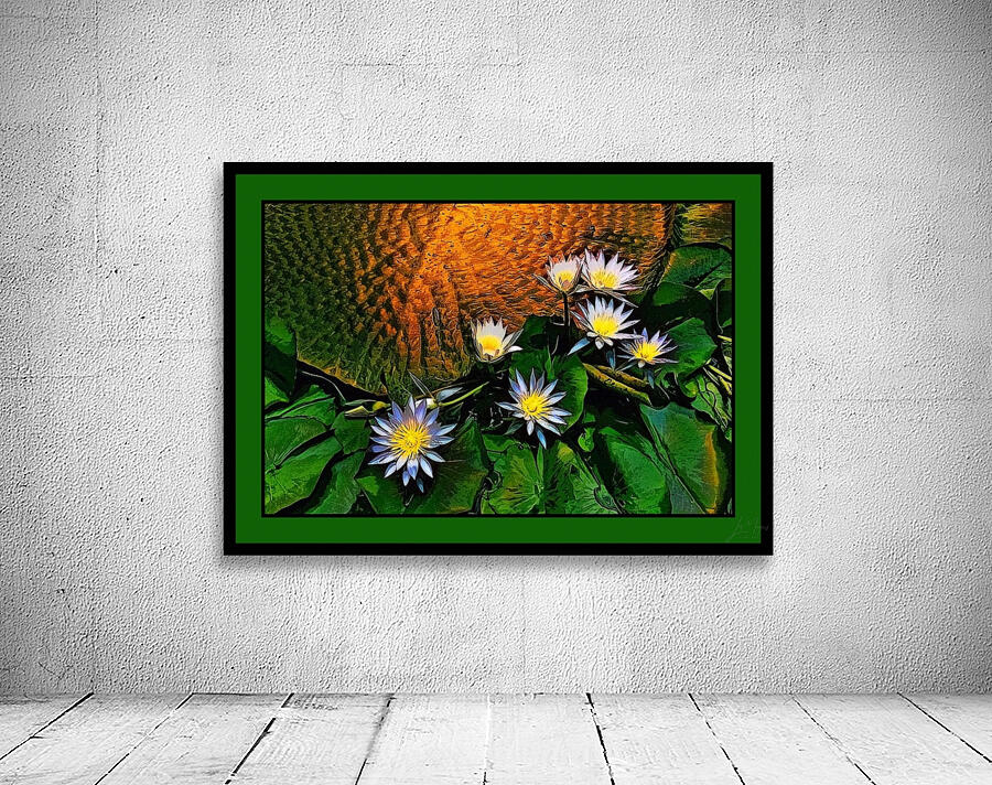 WATER LILIES WITH GIANT LEAF PAD   by LES MAYERS 