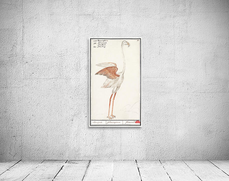 Flamingo in vintage style Wall Preview