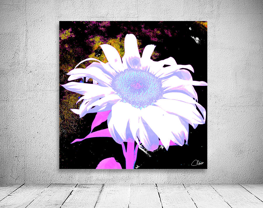 Pink Sunflower on  Dark  Abstract Background Wall Preview