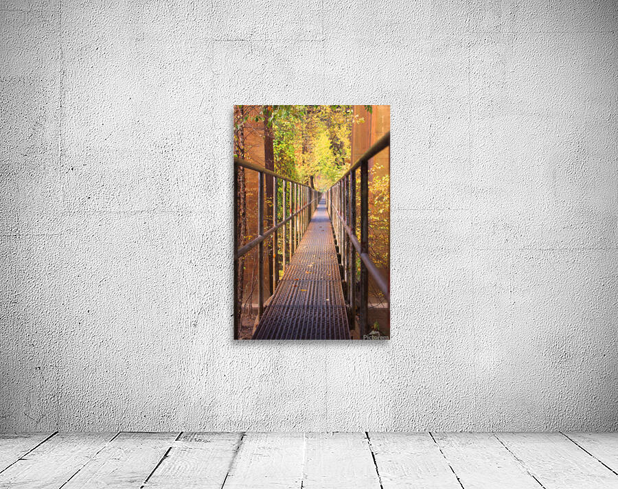 Fall Pipe Line Run 16x24 Wall Preview